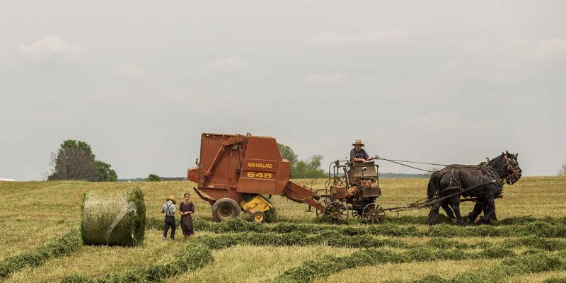 洛阳地铁沿线房产价值深度解析：1号线与2号线如何重塑通勤与居住格局