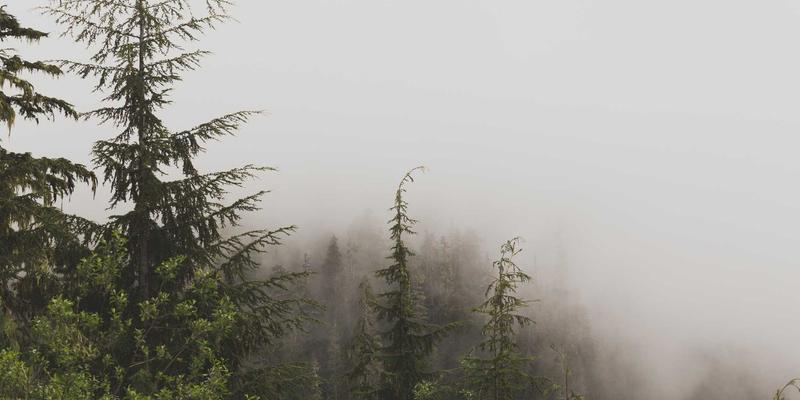 洛阳房产80后置业指南:中州城生活圈与租房市场深度解析