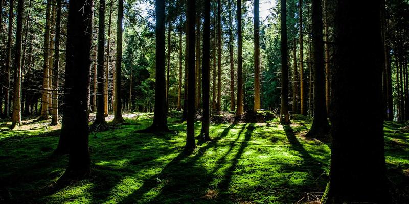 洛阳房产90后置业指南:聚焦中州城二手房,解锁品质洛阳生活