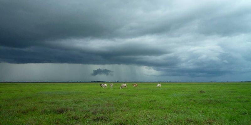 洛阳房产94:租房指南与城市服务全解析,助您安居古都