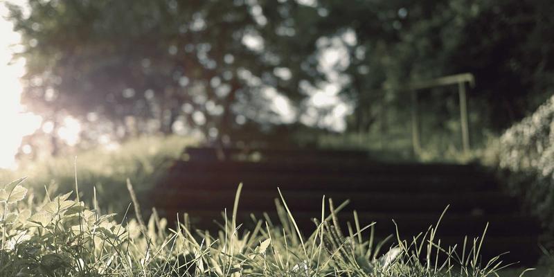 洛阳房产全攻略:从信息获取到安居置业的完整指南