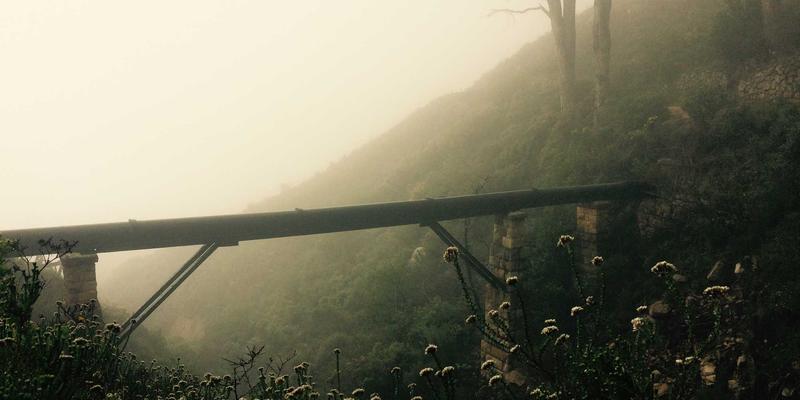 洛阳房产前景解析：中州城置业与租房市场的机遇与选择