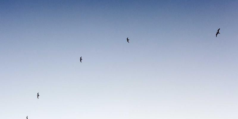 洛阳房产新观察:城市服务升级下的租房与置业指南