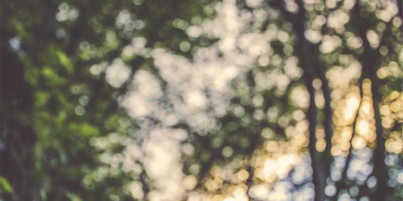 洛阳法拍房购买风险与机遇全解析：实操流程及注意事项 | 二手房投资指南